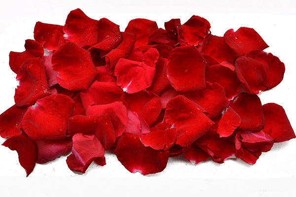 成都花卉烘干機(jī)